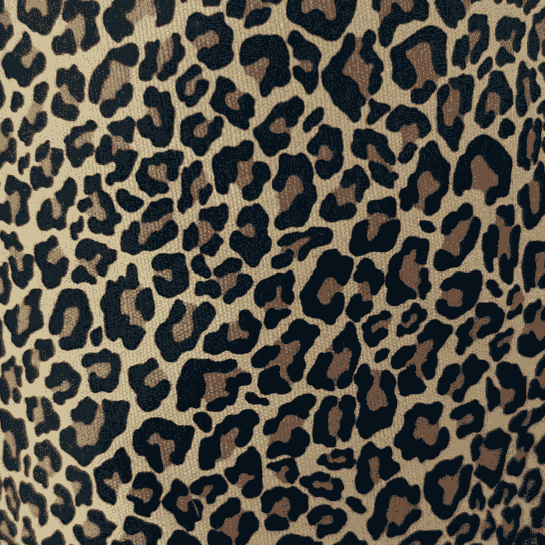 #design_leo