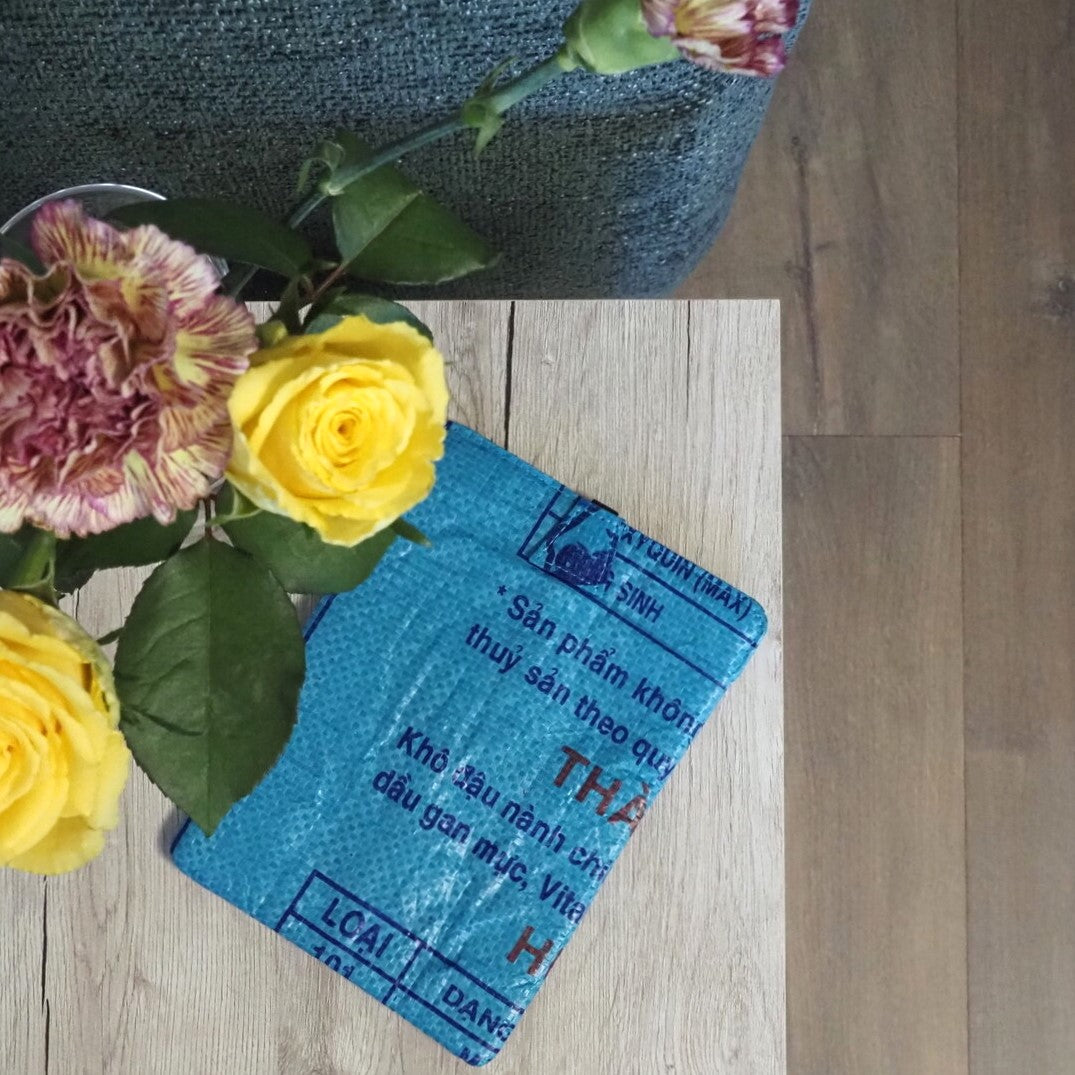 KINDLE COVER LEO · FISH