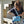 Lade das Bild in den Galerie-Viewer, Frau sieht in hellblaue Cross Body Bag 
