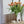 Lade das Bild in den Galerie-Viewer, Vide Poche in beige - Taschenleerer im Vorzimmer für Schlüssel neben einer Blumenvase
